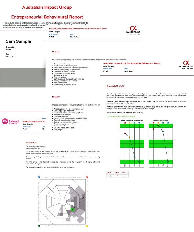Breakthrough - Entrepreneurship Extended DISC Report (1)