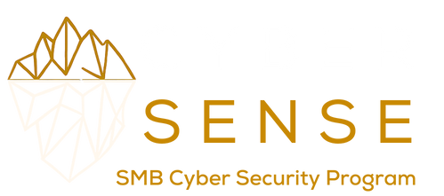 Cyber Sense SMB Cyber Security Program (3)