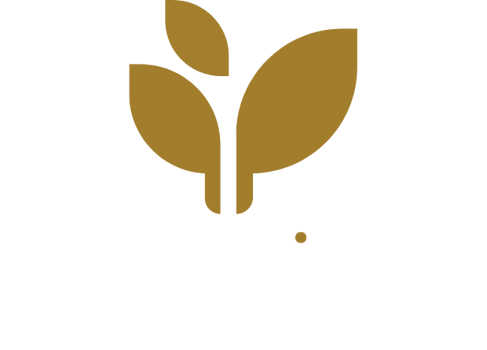 Start Right REV Transparent Logo